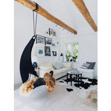 Black & White Natural Cowhide Rug