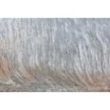 Light Exotic Natural Cowhide Rug