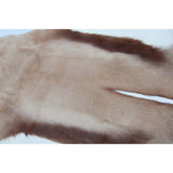Springbok Rug
