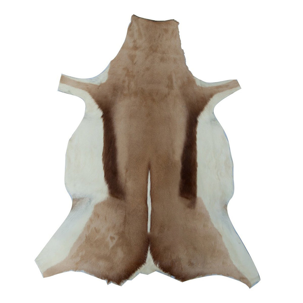 Springbok Rug | Fast Shipping Australia Wide! – Cowhide Rugs Online